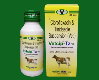 Ruminotoric Drugs / Indigestion and Impaction in Cattle